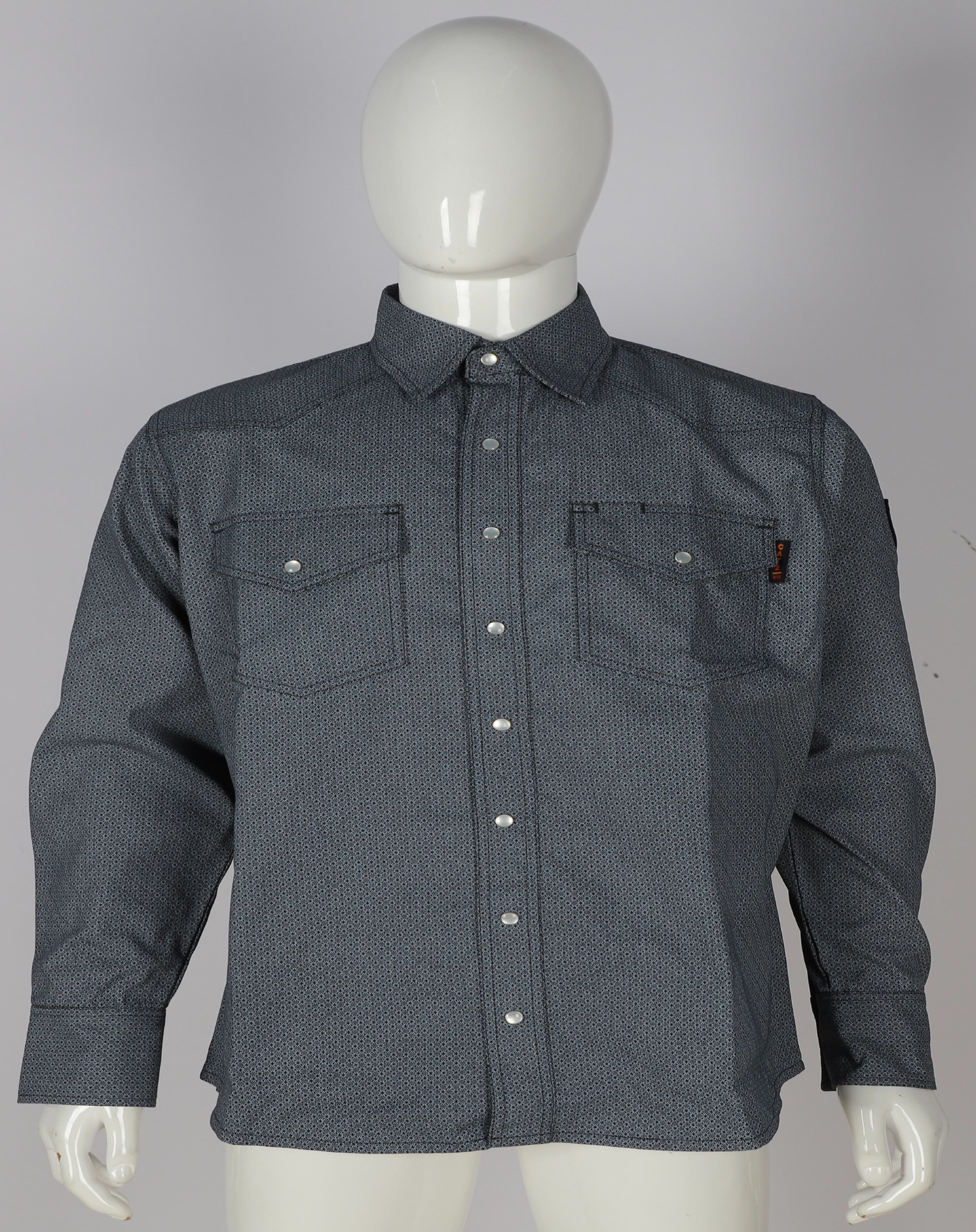 Paisley Shirt