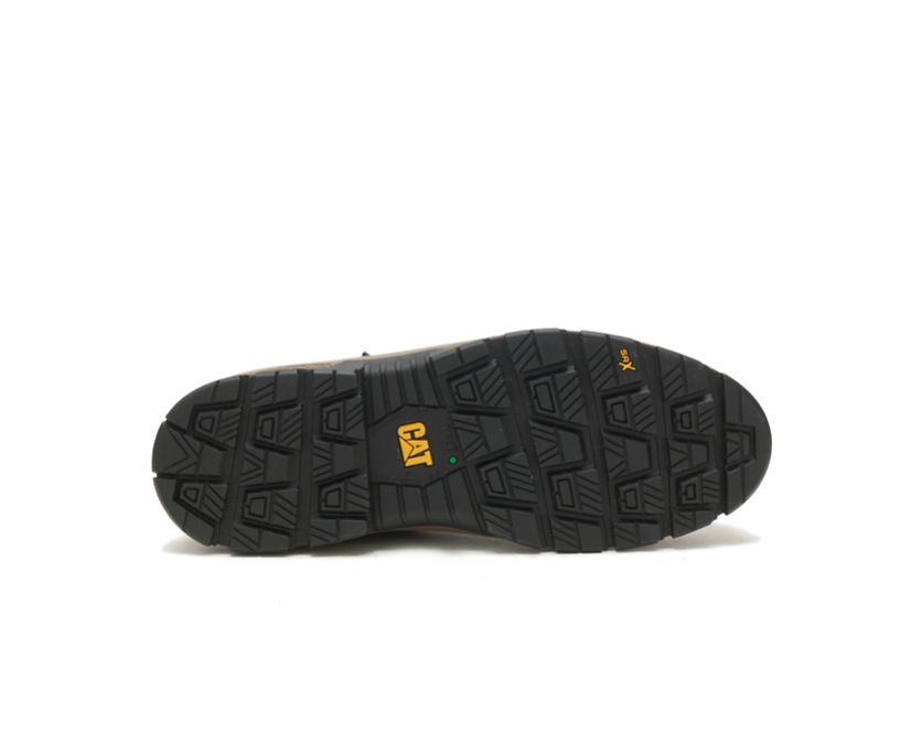 Exposition Chelsea CSA