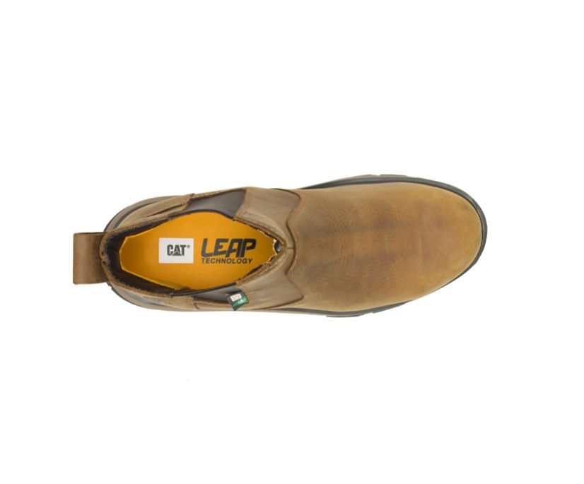 Exposition Chelsea CSA